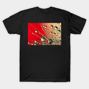 Chilli Dandy Drops T-Shirt